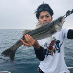 シーモンキー 釣果