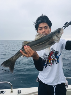 シーモンキー 釣果