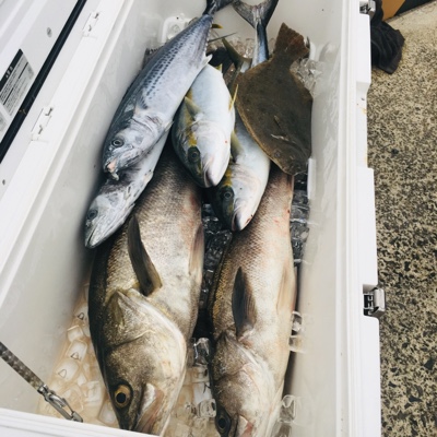 シーモンキー 釣果