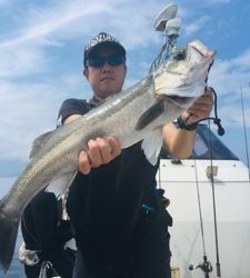 シーモンキー 釣果