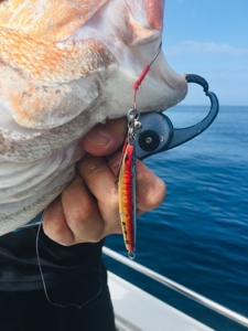 シーモンキー 釣果