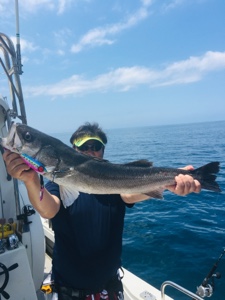 シーモンキー 釣果