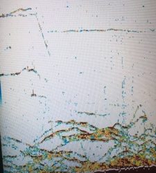 シーモンキー 釣果