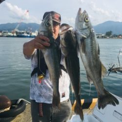 シーモンキー 釣果