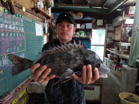 ふじや釣舟店 釣果