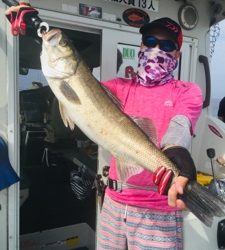 シーモンキー 釣果