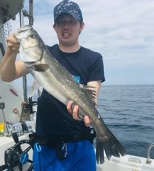 シーモンキー 釣果