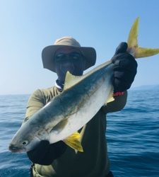 シーモンキー 釣果