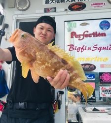 シーモンキー 釣果