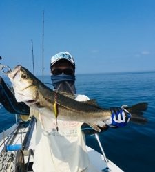 シーモンキー 釣果