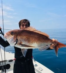 シーモンキー 釣果