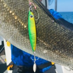 シーモンキー 釣果