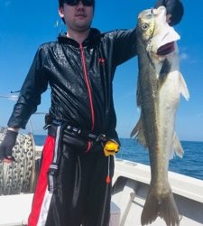 シーモンキー 釣果