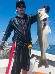 シーモンキー 釣果