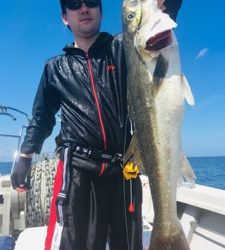 シーモンキー 釣果