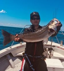 シーモンキー 釣果