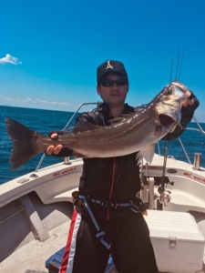 シーモンキー 釣果