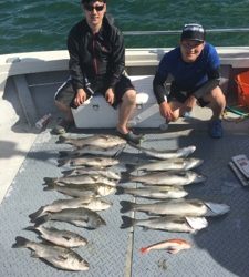 シーモンキー 釣果