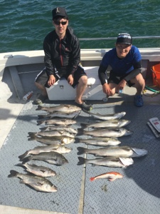 シーモンキー 釣果