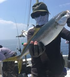 シーモンキー 釣果