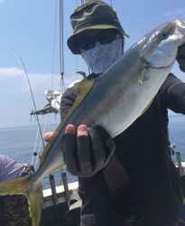 シーモンキー 釣果