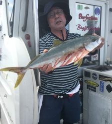 シーモンキー 釣果