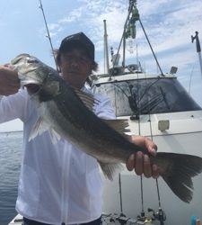 シーモンキー 釣果