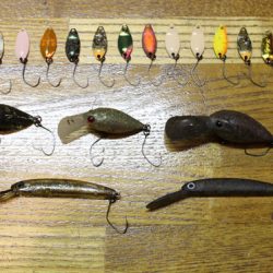 小菅トラウトガーデン 釣果