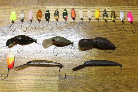 小菅トラウトガーデン 釣果