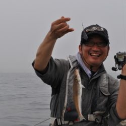 根岸丸 釣果