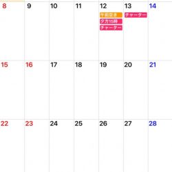 「LaGooN」蒼陽丸 日和号 釣果