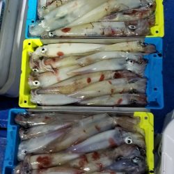 海龍丸（石川） 釣果