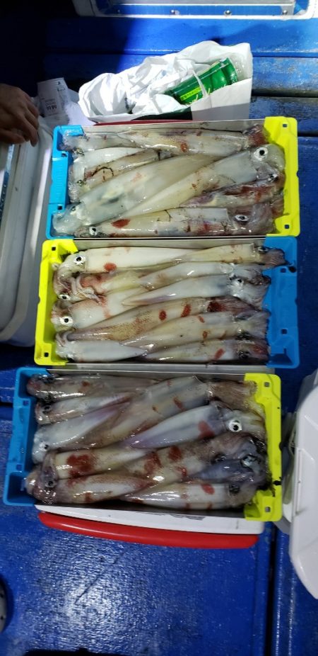 海龍丸（石川） 釣果