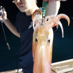 海龍丸（石川） 釣果