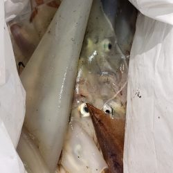 海龍丸（石川） 釣果