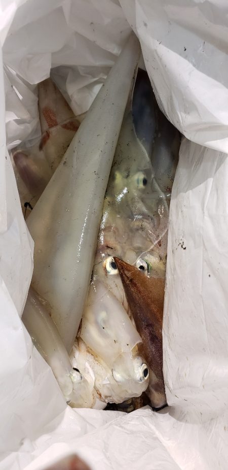 海龍丸（石川） 釣果