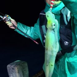 海龍丸（石川） 釣果