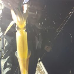 海龍丸（石川） 釣果