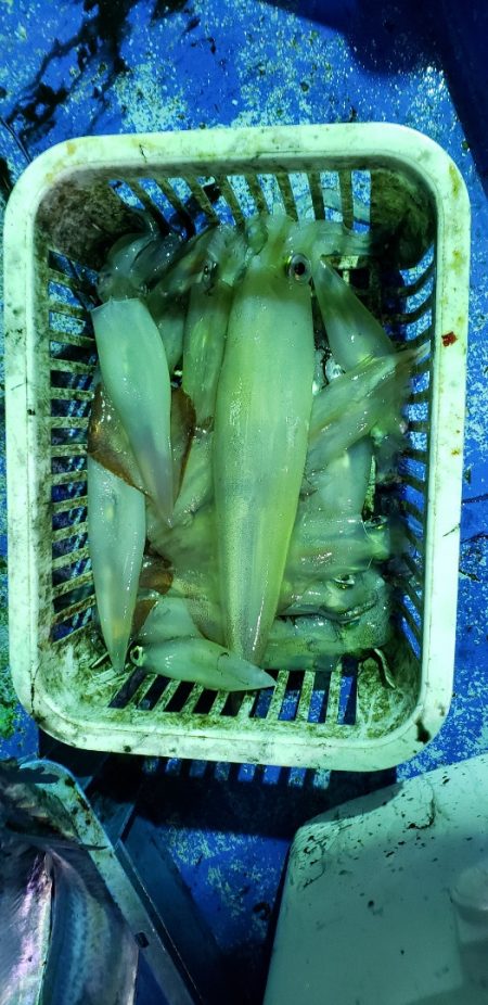 海龍丸（石川） 釣果