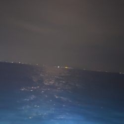 海龍丸（石川） 釣果