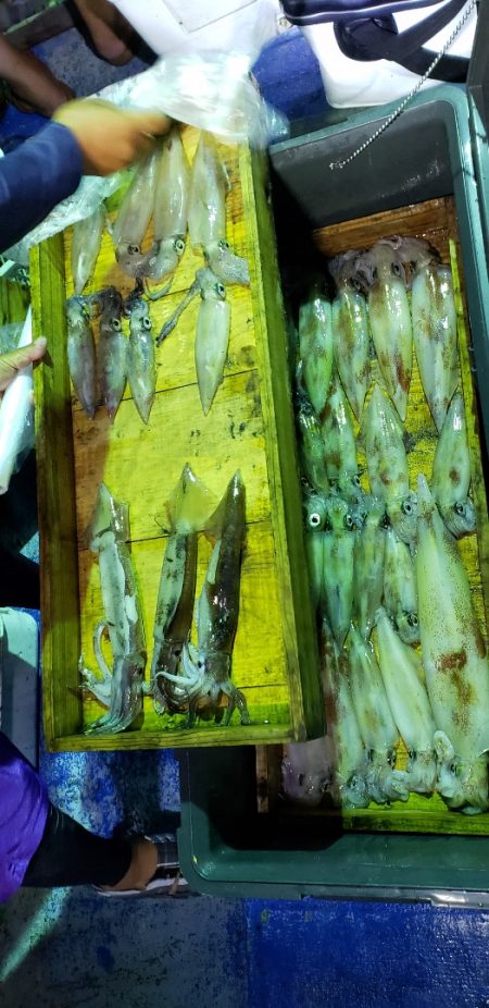 海龍丸（石川） 釣果