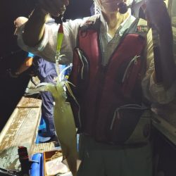 海龍丸（石川） 釣果