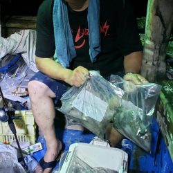 海龍丸（石川） 釣果