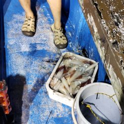 海龍丸（石川） 釣果
