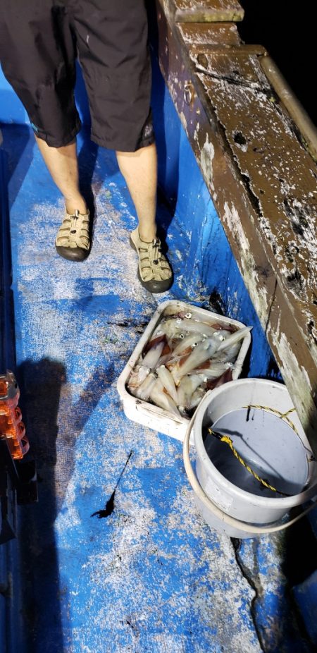 海龍丸（石川） 釣果