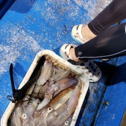 海龍丸（石川） 釣果