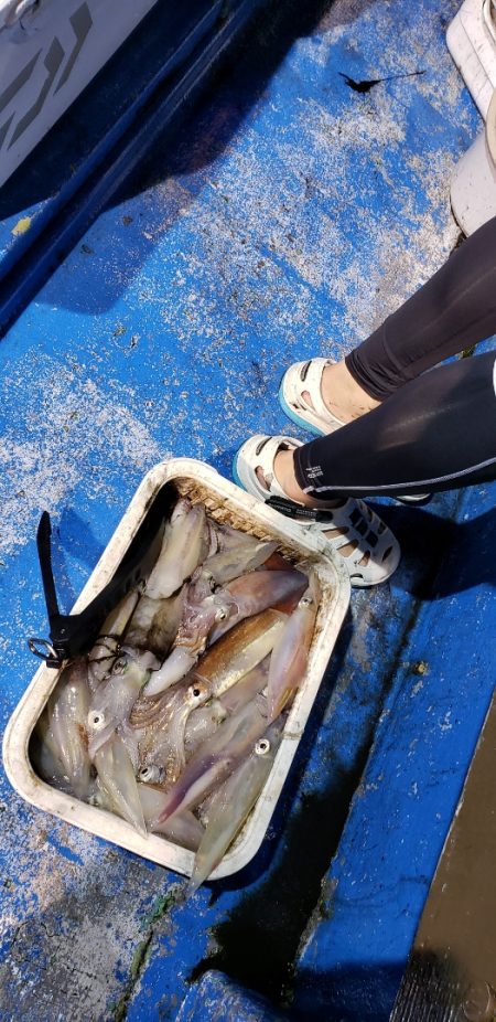 海龍丸（石川） 釣果