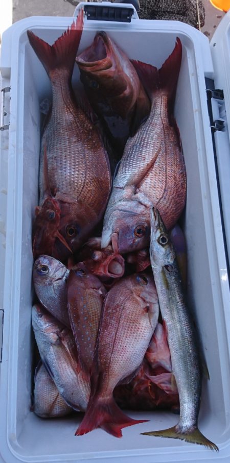 遊漁船 家入 釣果
