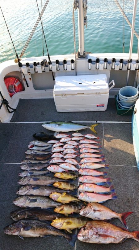 ARCADIAⅡ （アルカディアⅡ） 釣果…