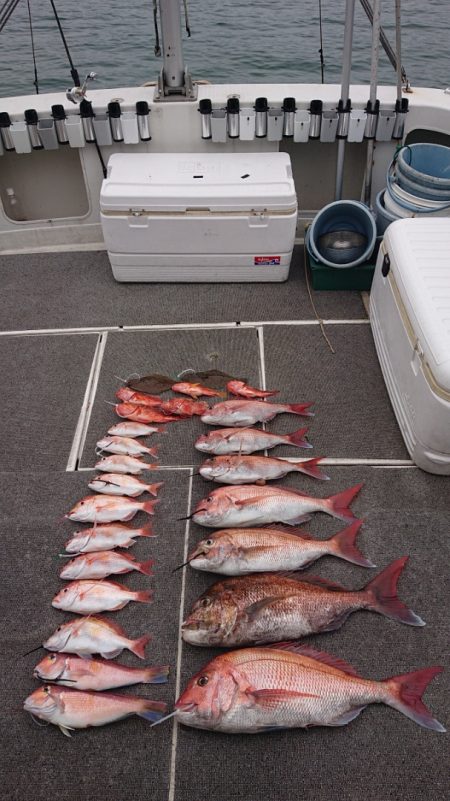 ARCADIAⅡ （アルカディアⅡ） 釣果…